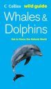 Collins Wild Guide to Whales and Dolphins