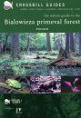 Crossbill Guide: Bialowieza Primeval Forest, Poland
