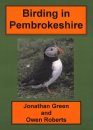 Birding in Pembrokeshire