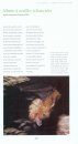 Le Guide des Chauves-Souris en Poitou-Charentes [Guide to the Bats of Poitou-Charentes]