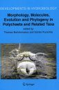 Morphology, Molecules, Evolution and Phylogeny in Polychaeta and Related Taxa