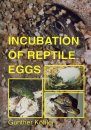 Incubation of Reptile Eggs