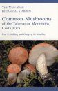 Common Mushrooms of the Talamanca Mountains, Costa Rica