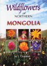 Wildflowers of Northern Mongolia