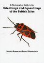 Photographic Guide to Shieldbugs and Squashbugs of the British Isles
