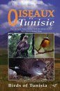 Birds of Tunisia / Oiseaux de Tunisie