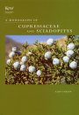 A Monograph of Cupressaceae and Sciadopitys