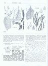 Flora of North America North of Mexico, Volume 28: Bryophytes, Part 2: Mosses