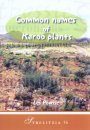 Common Names of Karoo Plants