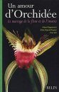 Un Amour d'Orchidee: Le Mariage de la Fleur et de l'insecte