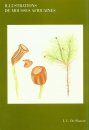 Illustrations de Mousses Africaines [Illustrations of African Mosses]