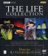 David Attenborough DVD Box Set 3: The Life Collection (Region 2 & 4)