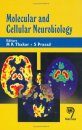 Molecular and Cellular Neurobiology