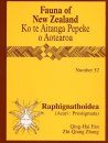 Fauna of New Zealand, No 52: Raphignathoidea (Acari: Prostigmata)