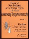 Fauna of New Zealand, No 51: Coccidae (Insecta: Hemiptera: Coccoidea)