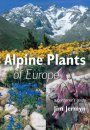 Alpine Plants of Europe