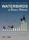 Waterbirds of Bourgas Wetlands