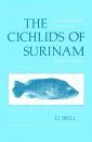 The Cichlids of Surinam