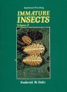 Immature Insects, Volume 2