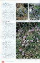 Himalayan Plants Illustrated [Japanese]