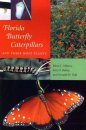 Florida Butterfly Caterpillars and their Host Plants