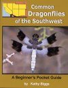 Common Dragonflies of the Southwest