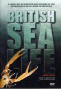 British Sea Life - DVD (Region 2)