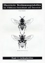 Illustrierte Bestimmungstabellen der Wildbienen Deutschlands und Österreichs, Band 1: Anthophoridae [Illustrated Determination Tables of the Wild Bees of Germany and Austria, Volume 1: Anthophoridae]