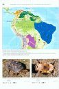 Turtles of the World, Volume 3: Central and South America / Schildkröten der Welt, Band 3: Mittel- und Südamerika