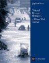 Natural Disaster Hotspots: A Global Risk Analysis