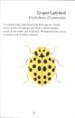 A Pocket Guide to the Ladybirds of Britain and Ireland