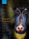 Primate Sexuality