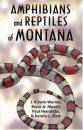 Amphibians and Reptiles of Montana