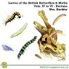 Larvae of the British Butterflies & Moths: Volume 4 to 6 - The Noctuae