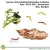 Larvae of the British Butterflies & Moths: Volumes 7 & 8 - The Geometrae