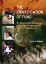 The Identification of Fungi
