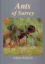 Ants of Surrey
