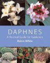 Daphnes: A Practical Guide for Gardeners
