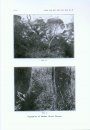 A Contribution to the Flora and Plant Formations of Mount Kinabalu and the Highlands of British North Borneo