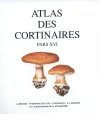 Atlas des Cortinaires, Pars 16: Sous-Genre Phlegmacium, Section Multiformes