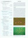 Compendium of Turfgrass Diseases