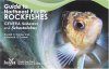 Guide to Northeast Pacific Rockfishes