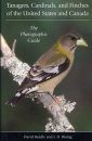Tanagers, Cardinals, and Finches of the United States and Canada