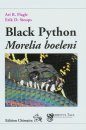Black Python: Morelia Boeleni
