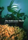 The Underwater World of Northumberland and Berwickshire