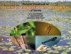 Pictorial Handbook on Common Dragonflies and Damselflies of Kerala