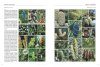 Conifers Around the World (2-Volume Set)