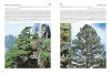Conifers Around the World (2-Volume Set)
