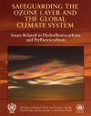 Safeguarding the Ozone Layer and the Global Climate System