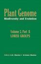 Plant Genome: Biodiversity and Evolution, Volume 2, Part B: Lower Groups